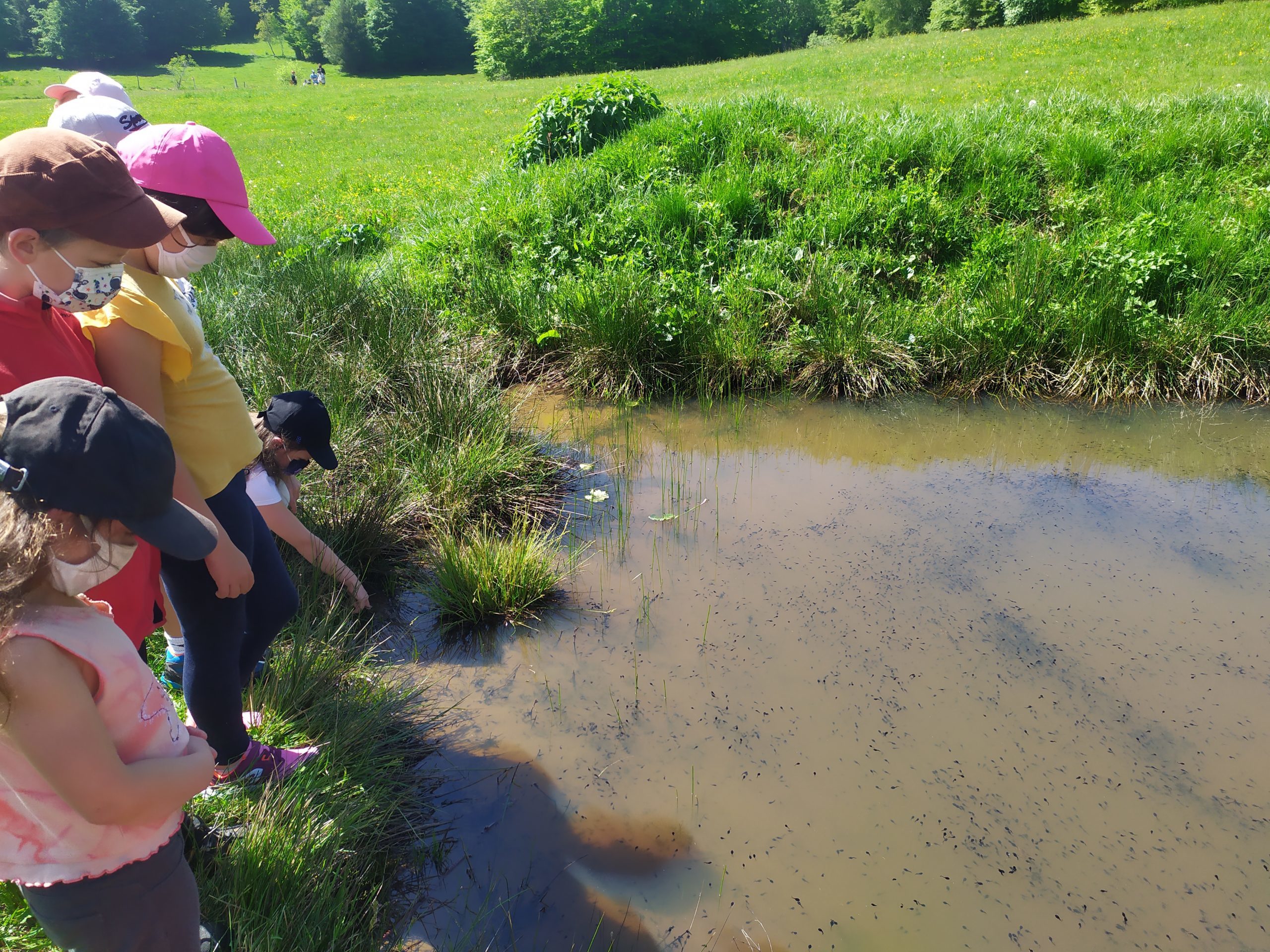 explorons la biodiversité